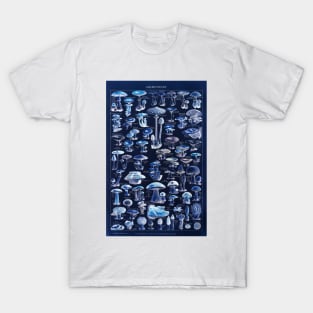 Mushrooms old French Illustration T-Shirt